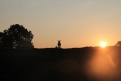 PHOTO-2020-05-25-15-14-06