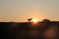 PHOTO-2020-05-25-15-14-07