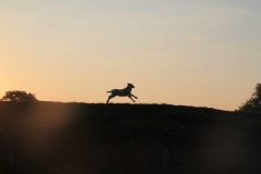 PHOTO-2020-05-25-15-14-08-2