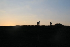 PHOTO-2020-05-25-15-14-08