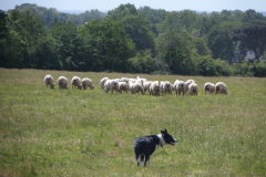 SAMSUNG CAMERA PICTURES